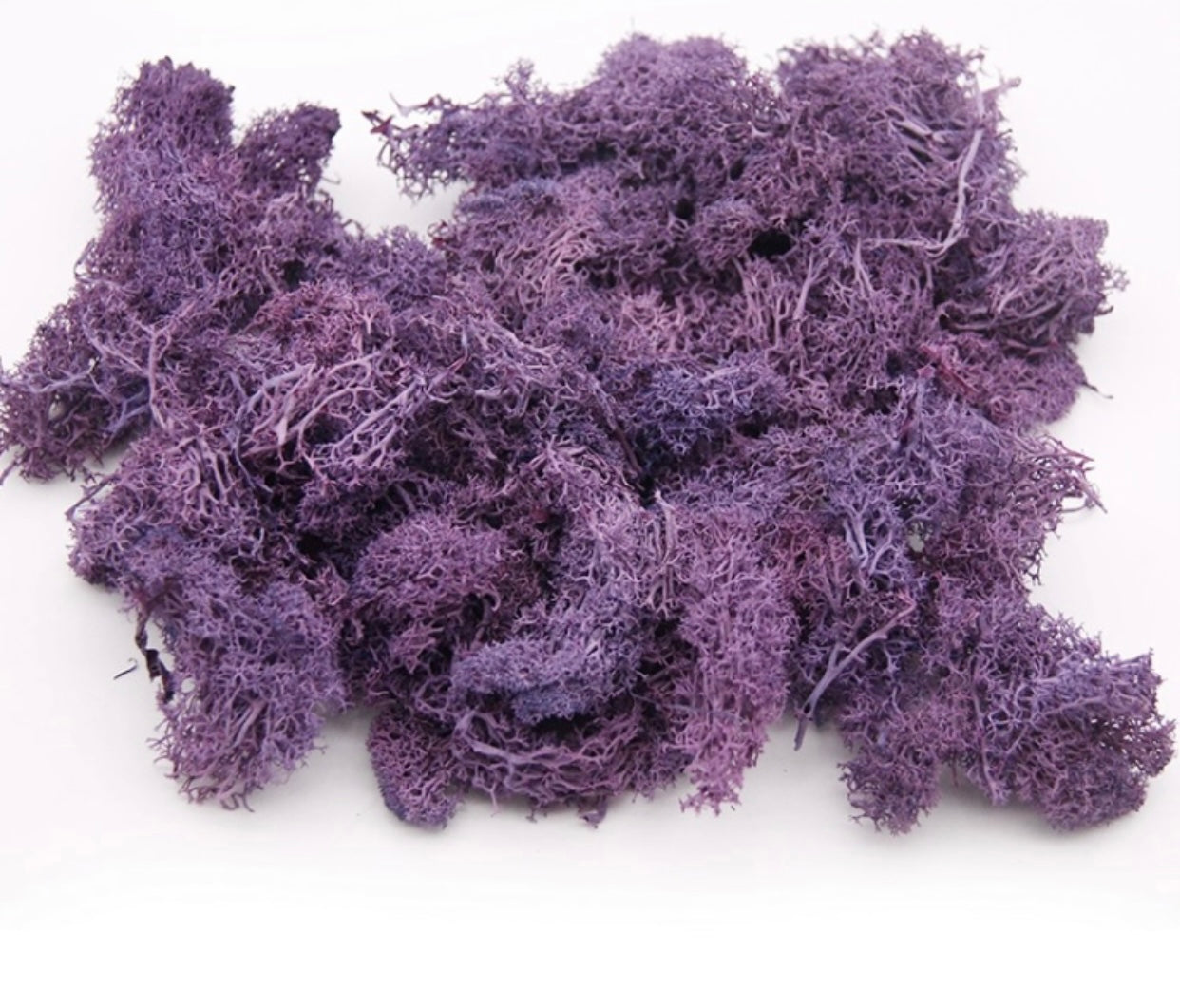 Purple Jamaican Seamoss